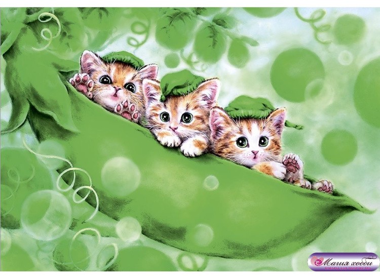 Папертоль «Котогорошки» — картинка 2