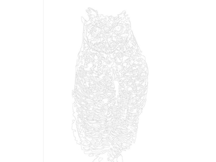 Картина по номерам «Чёрно-белая сова» — картинка 3