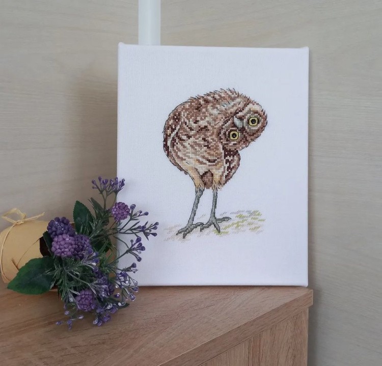 Набор для вышивания «Воробьиный сычик» — картинка 3