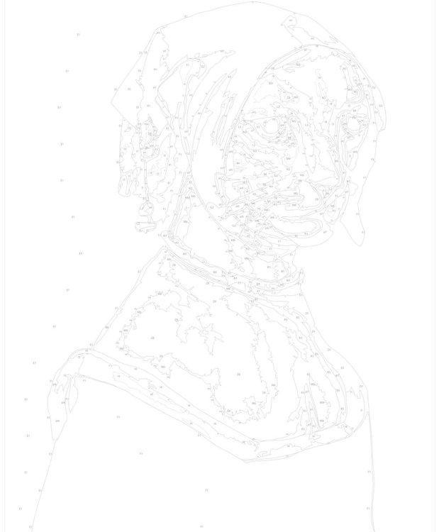 Картина по номерам «Кошка в историческом костюме» — картинка 3