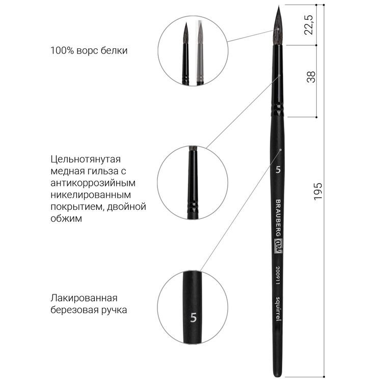 Кисть художественная профессиональная Art Classic, белка, круглая, № 5, короткая ручка, Brauberg — картинка 4