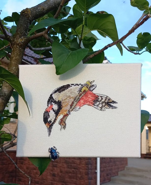 Набор для вышивания «Пёстрый дятел» — картинка 2