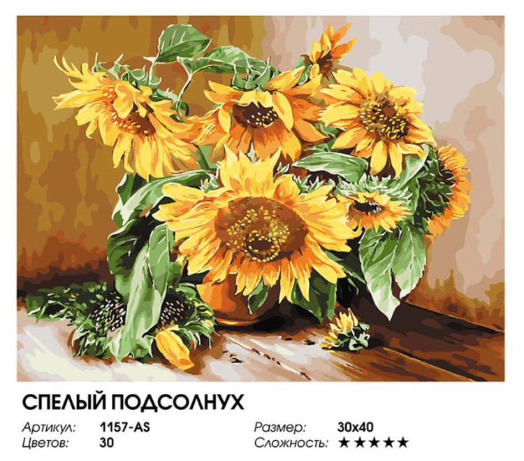 Картина по номерам «Спелый подсолнух» — картинка 2