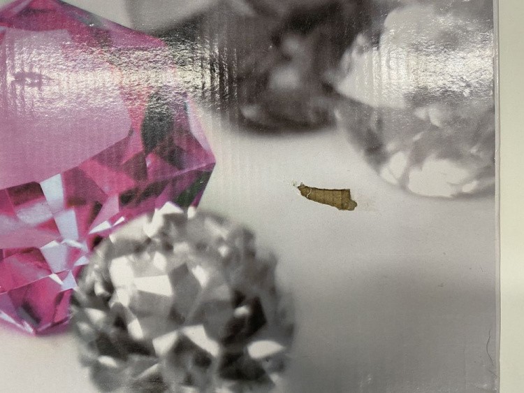 УЦЕНКА. Алмазная вышивка «Гордый лев» (порвана коробка) — картинка 3