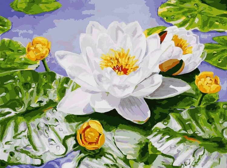Картина по номерам «Нимфея озерная» Елены Самарской