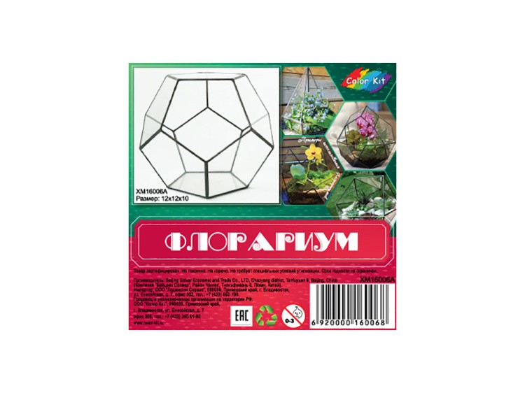Флорариум додекаэдр маленький — картинка 7