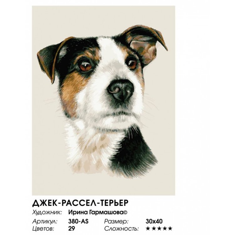 Картина по номерам «Джек-рассел-терьер» — картинка 2