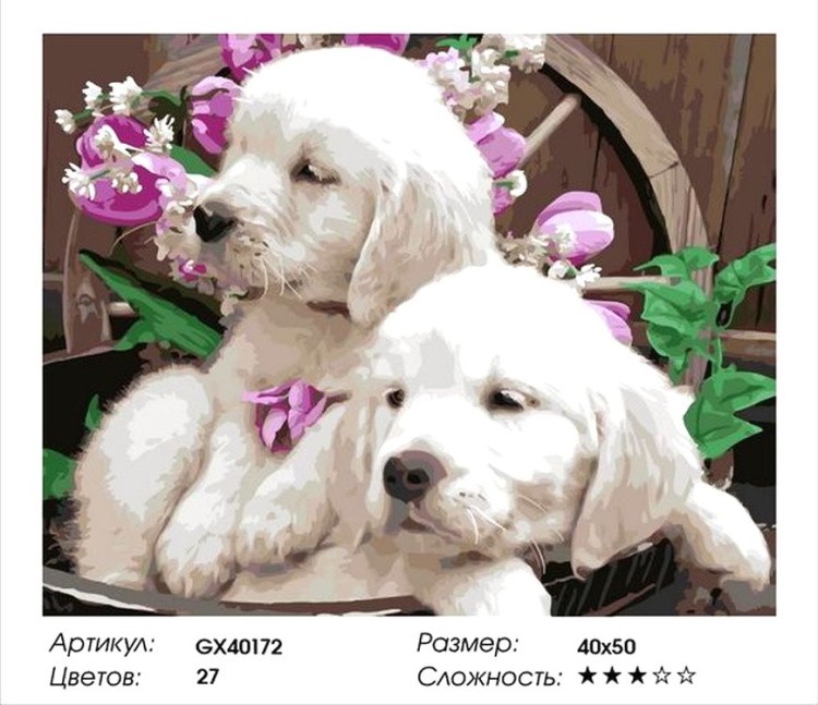 Картина по номерам «Щенки лабрадора» — картинка 2