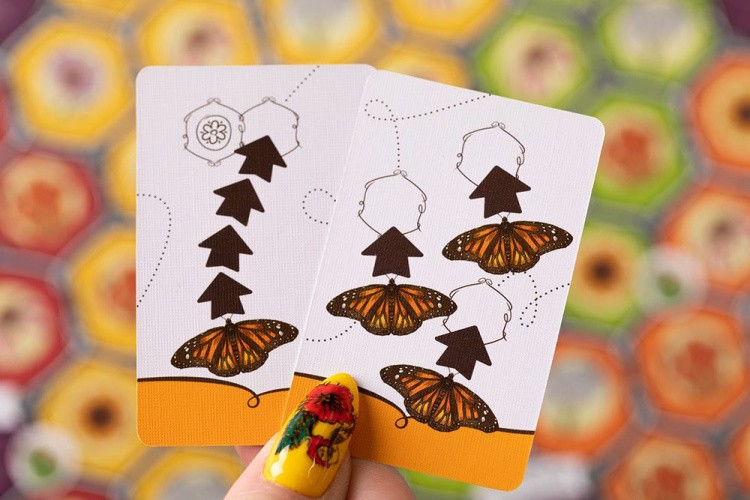 Игра настольная «Марипосас», Эврикус — картинка 6