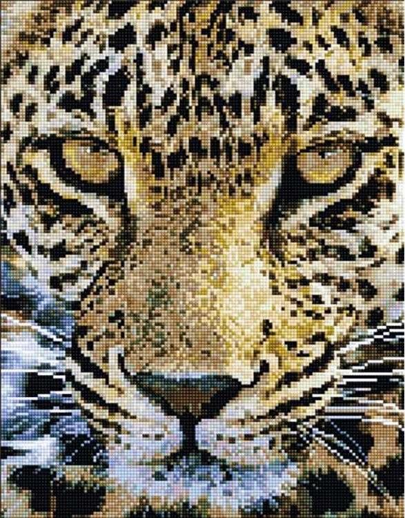 Алмазная вышивка «Морда леопарда»