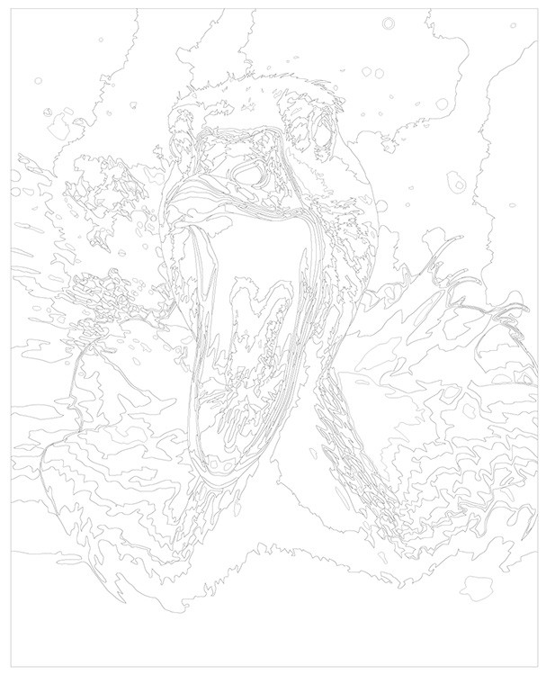 Картина по номерам «Гусь на тебя гоготусь» — картинка 3