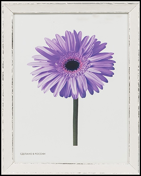 Рамка для картин «Viola» белая, 10x15 см — картинка 4