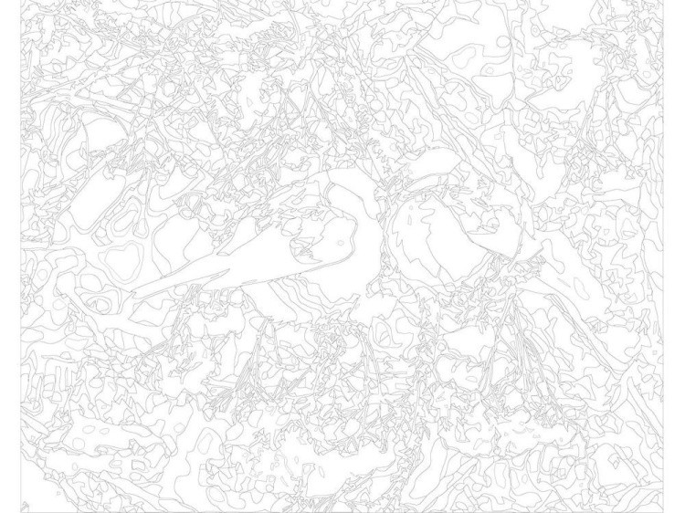 Картина по номерам «Снегири на рябине» — картинка 3