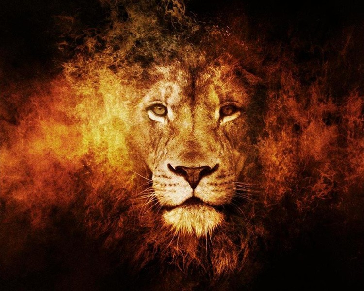 Алмазная вышивка «Огненный лев»