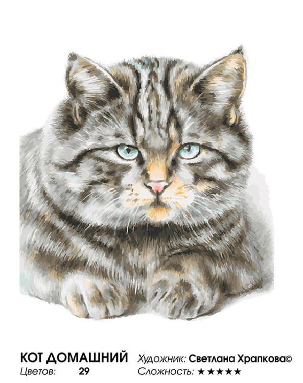 Картина по номерам «Кот домашний» — картинка 2