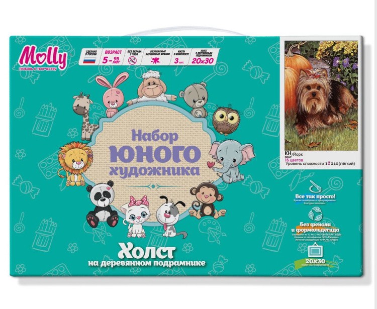 Картина по номерам «Йорк» — картинка 2