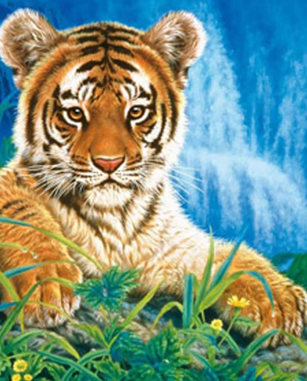 Алмазная вышивка «Маленький тигренок» — картинка 2