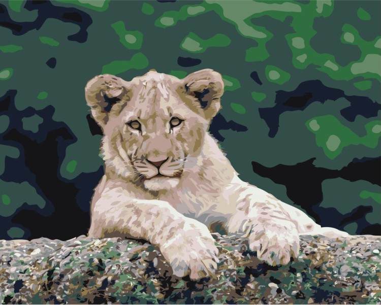 Картина по номерам «Львёнок»