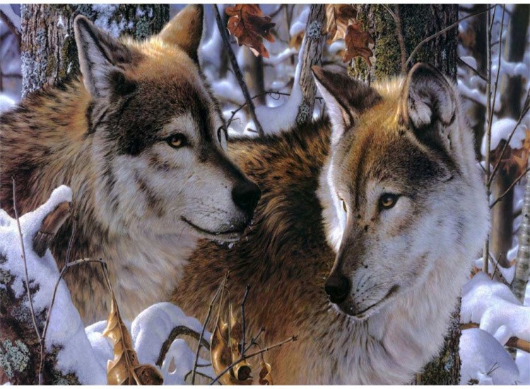 Набор вышивки бисером «Волки в зимнем лесу»