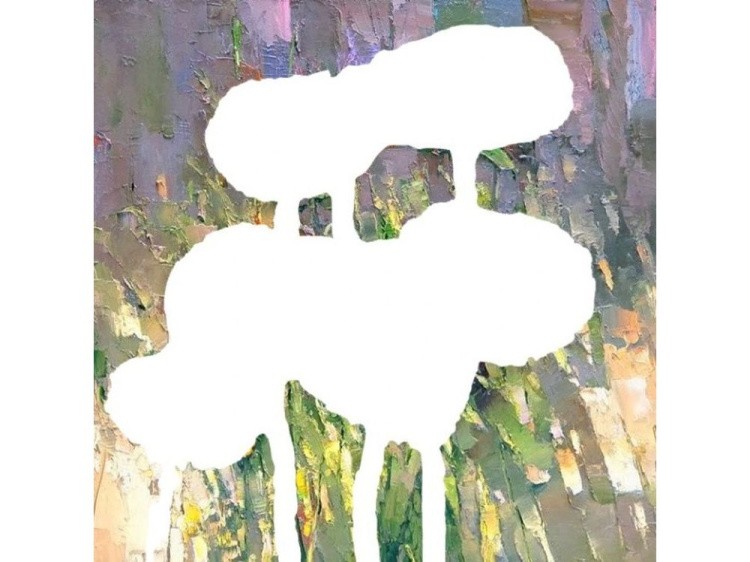 Алмазная вышивка «Маки» — картинка 2