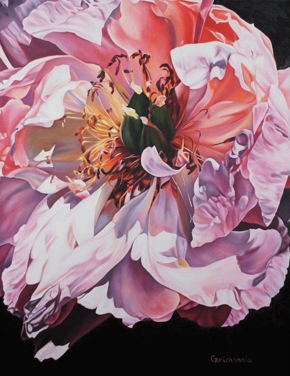 Картина по номерам «Лесной пион» — картинка 2