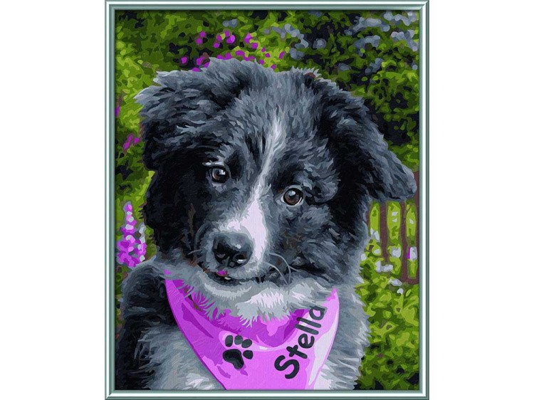 Картина по номерам «Щенок колли» — картинка 2