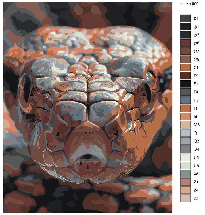 Картина по номерам «Оранжевая змея, Символ года, животные» — картинка 2