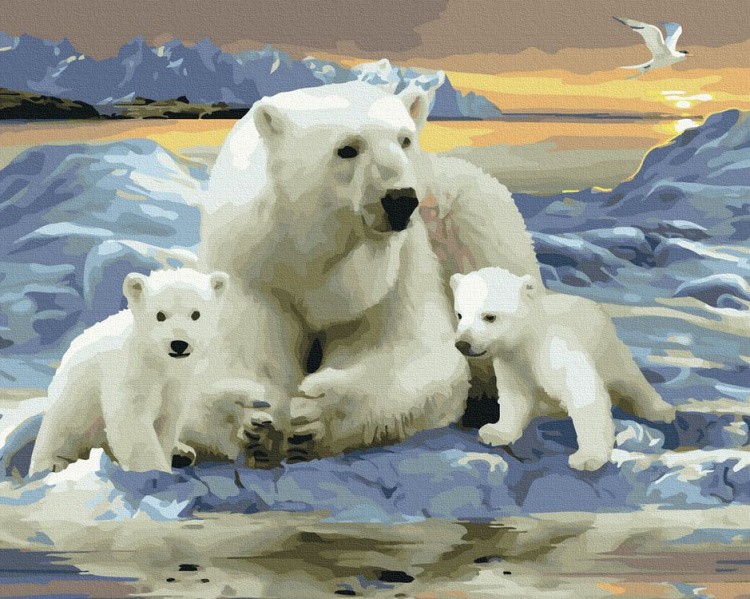 Картина по номерам «Белые полярные медведи»