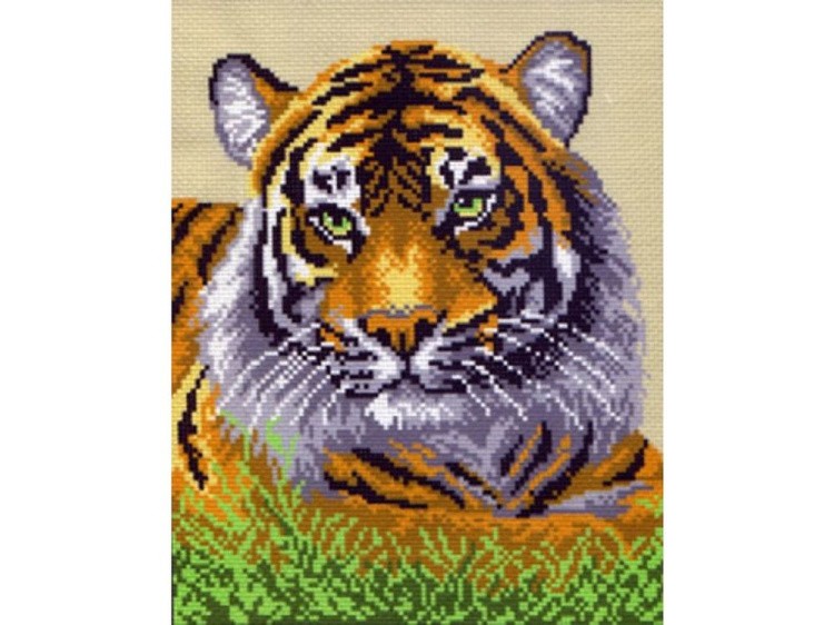 Рисунок на канве «Туранский тигр»