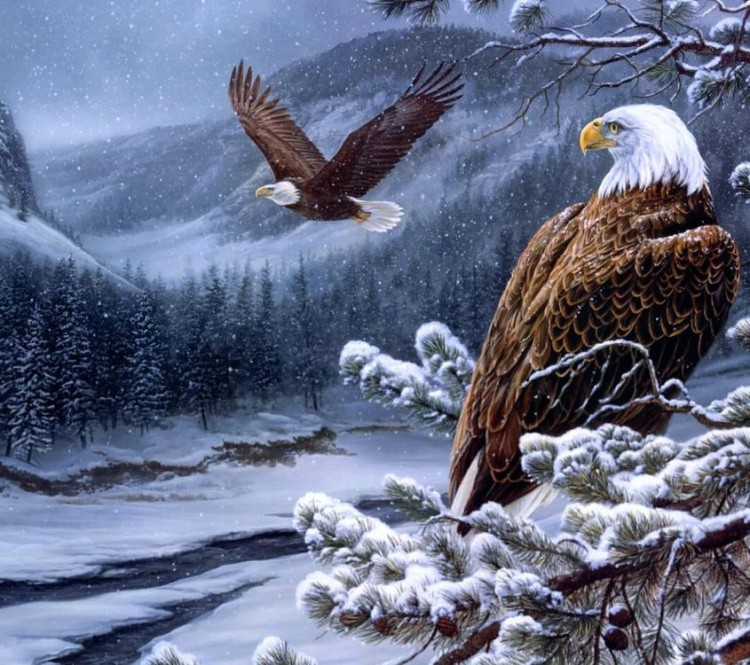 Алмазная вышивка «Орлы» — картинка 2