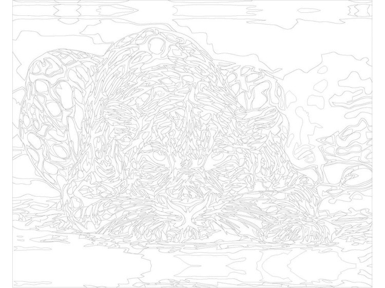 Картина по номерам «Затаившийся леопард» — картинка 3