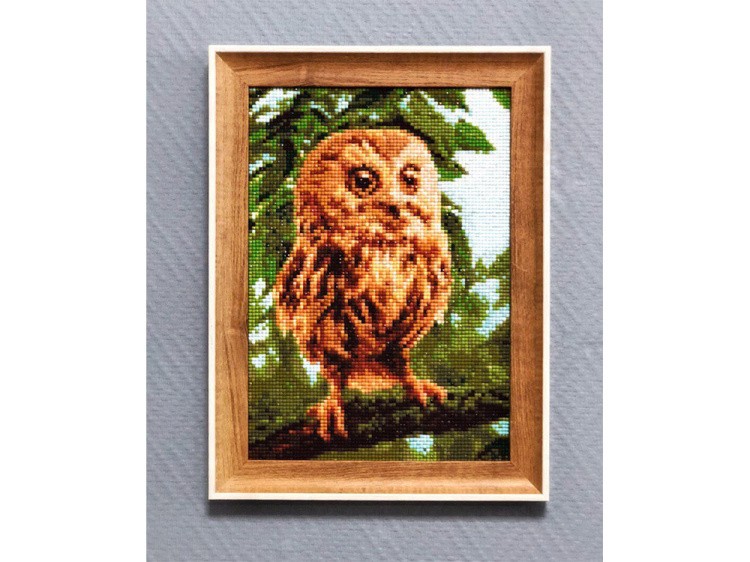 Алмазная вышивка «Молодой филин» — картинка 3