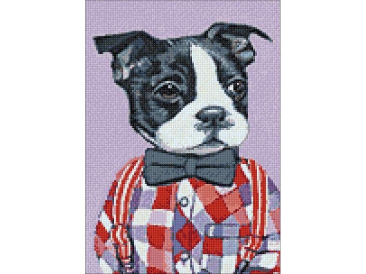 Алмазная вышивка «Английский бульдог» — картинка 3