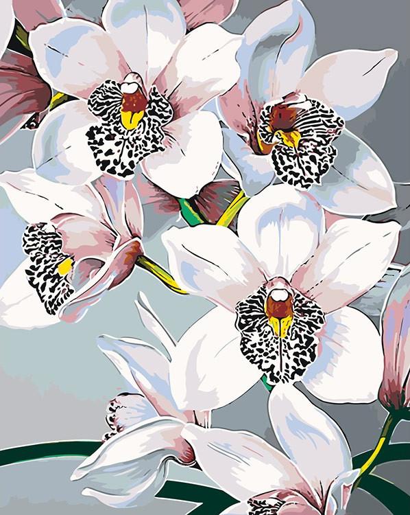 Картина по номерам «Белые орхидеи»