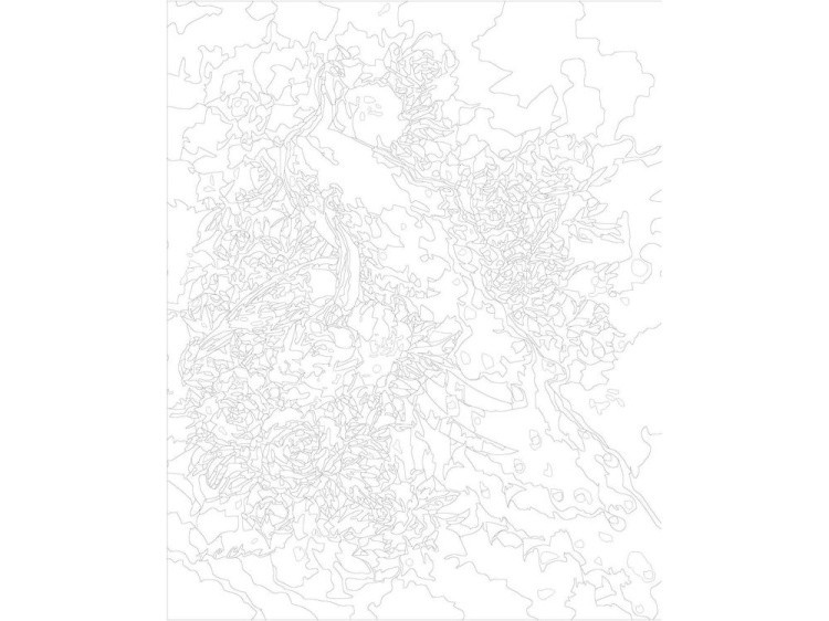 Картина по номерам «Белые павлины» — картинка 3