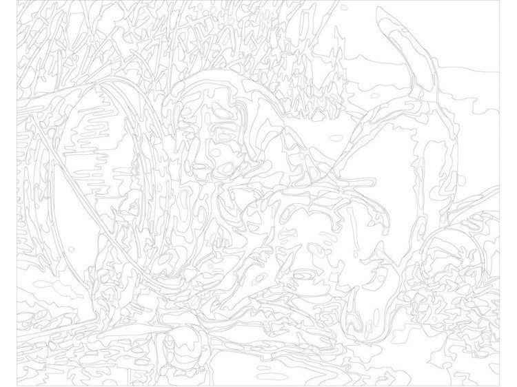 Картина по номерам «Щенки на рыбалке» — картинка 3