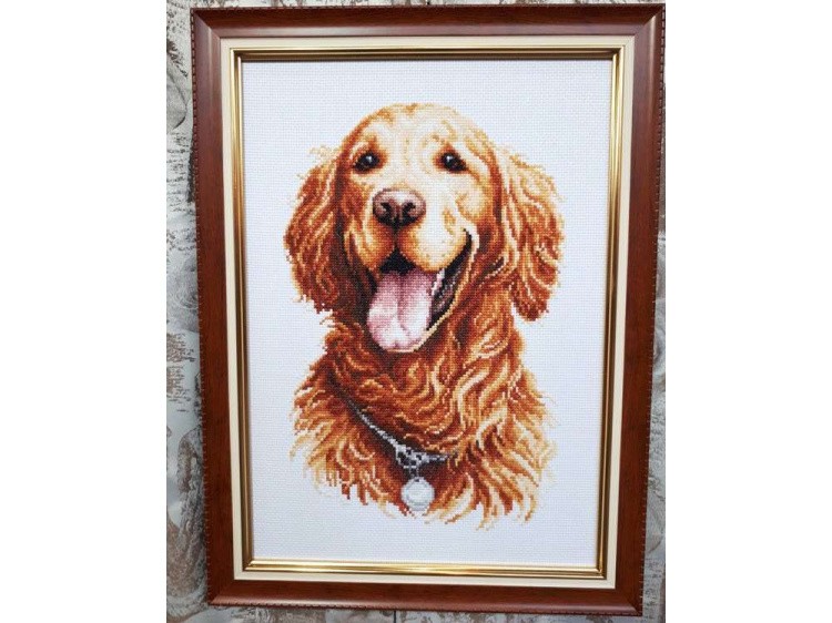 Набор для вышивания «Золотистый ретривер» — картинка 2