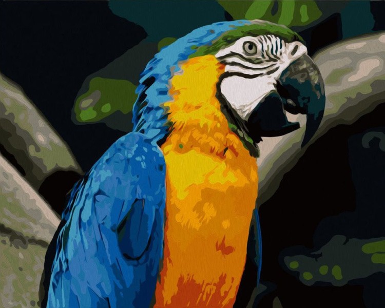 Картина по номерам «Яркий попугай»