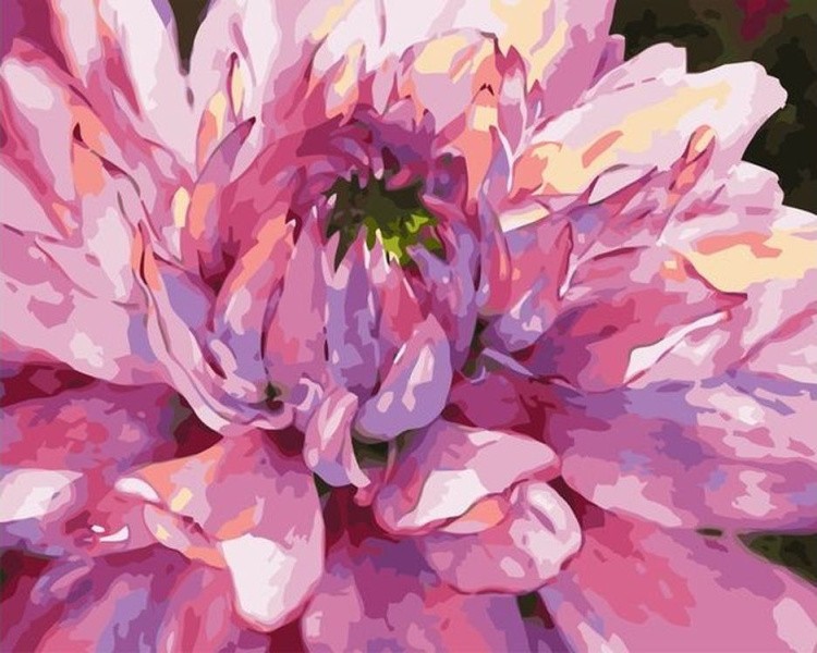 Картина по номерам «Розовый цветок»