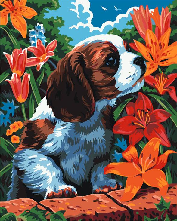 Картина по номерам «Собака в саду»