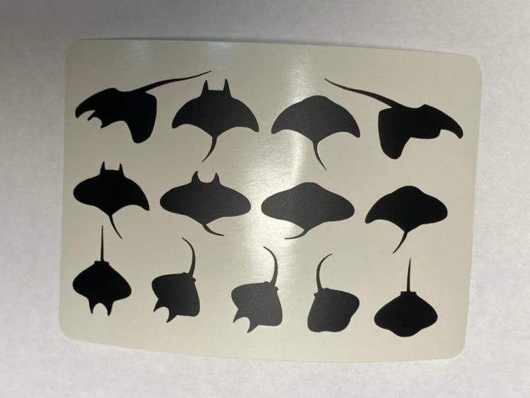 №904 Наклейка Скат 2 (Черные) Sticker 1, Art Blong — картинка 2