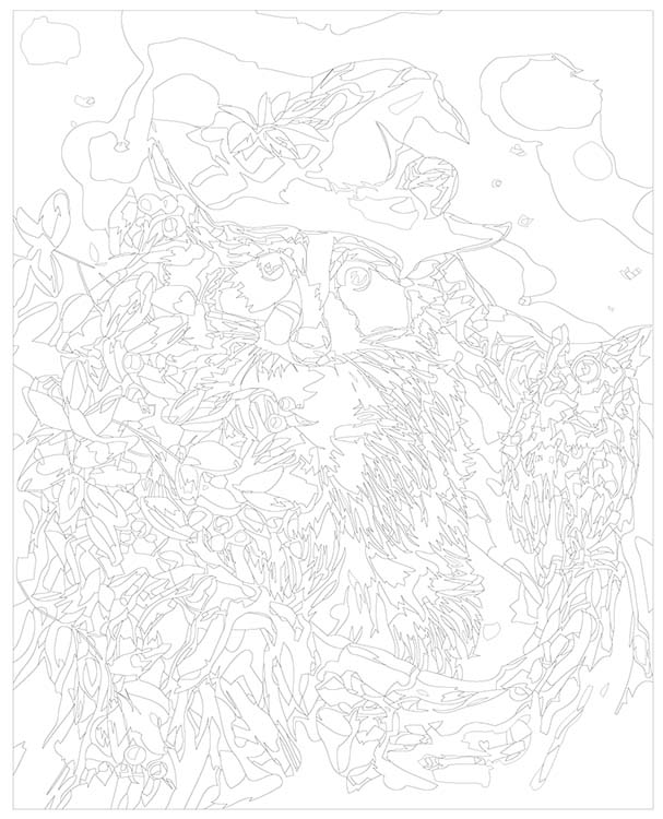 Картина по номерам «Енот в шляпе» — картинка 3