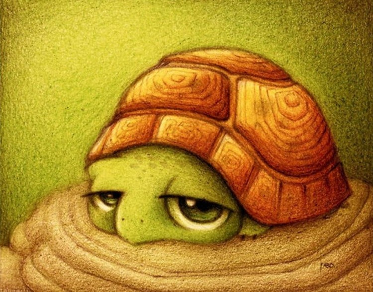 Алмазная вышивка «Сонная черепашка» — картинка 2