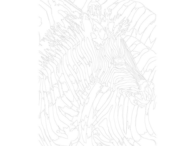 Картина по номерам «Зебры поп-арт» — картинка 3