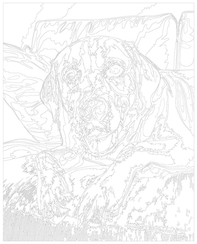 Картина по номерам Собака лабрадор ретривер на диване — картинка 3