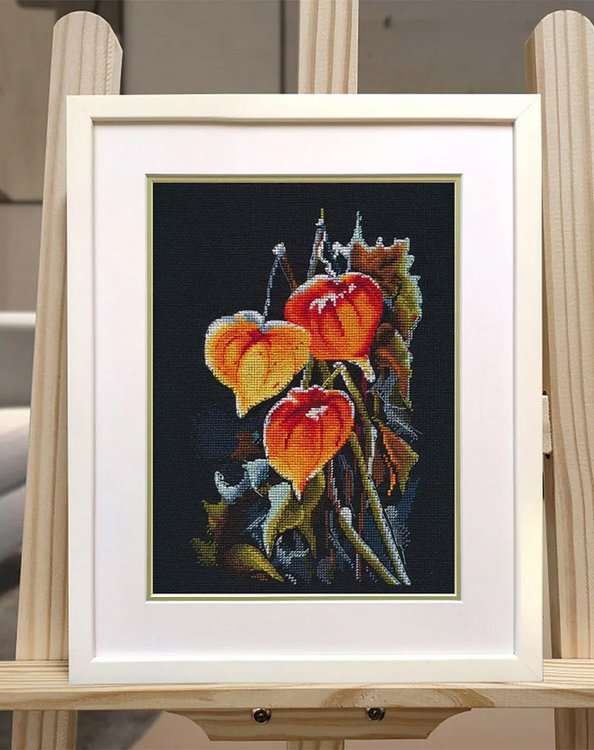 Набор для вышивания «Физалис на черном» — картинка 4