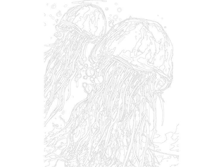 Картина по номерам «Медузы» — картинка 3