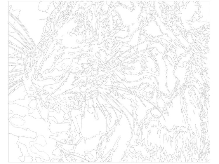 Картина по номерам «Тигриный оскал» — картинка 3