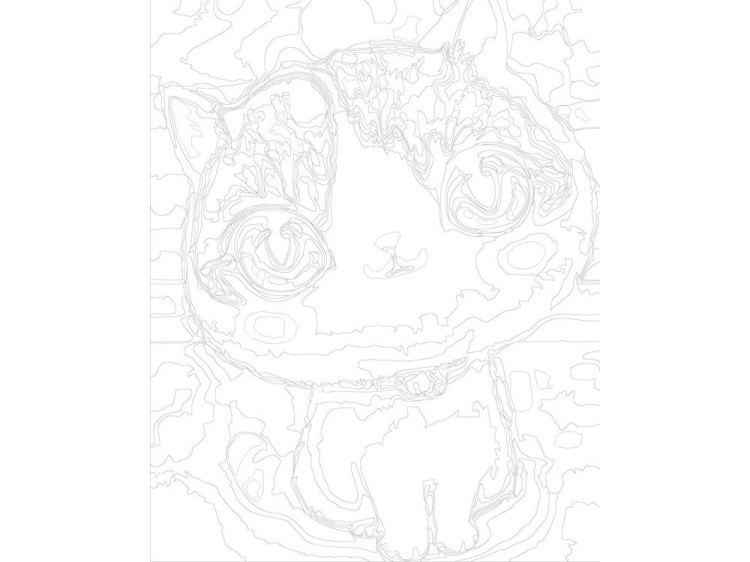 Картина по номерам «Выразительный взгляд» — картинка 3