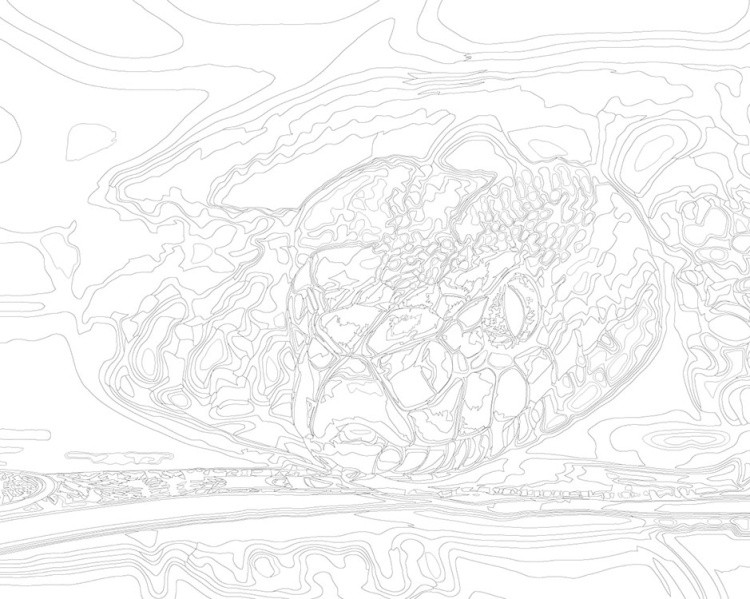 Картина по номерам «Зеленая змея, Символ года, животные» — картинка 3